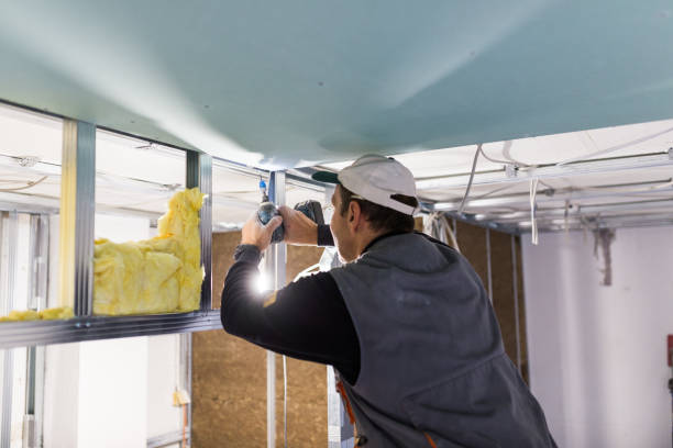 Best Residential Insulation in Plymouth, MI